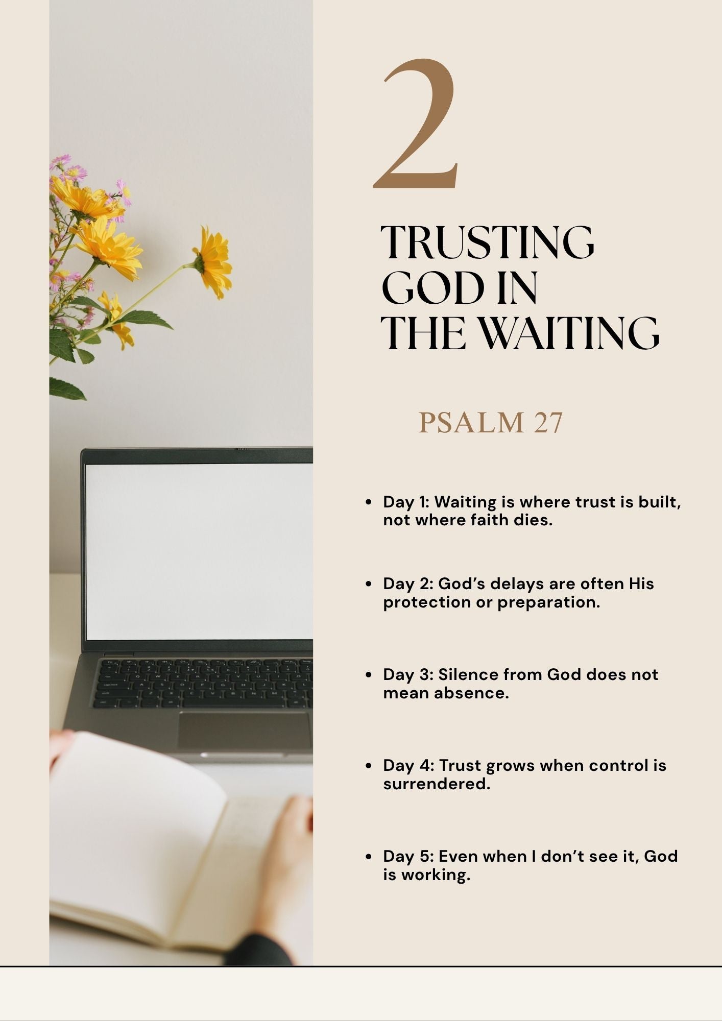 The Woman Who Doesn't Quit – Bible Study Guide